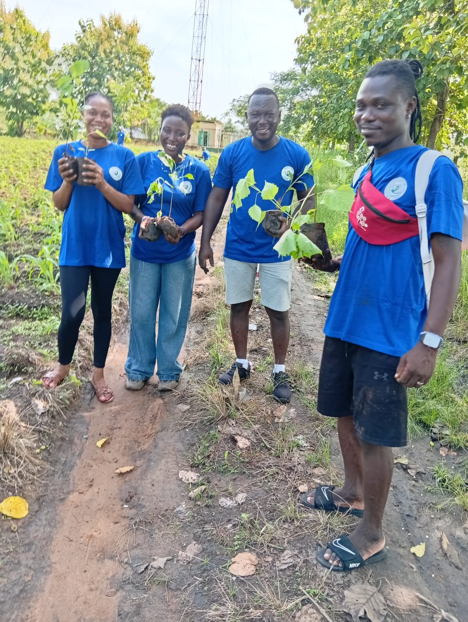Actions environnementales et reboisement